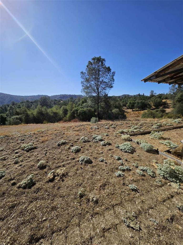 43980 CA-49, Ahwahnee, CA 93601