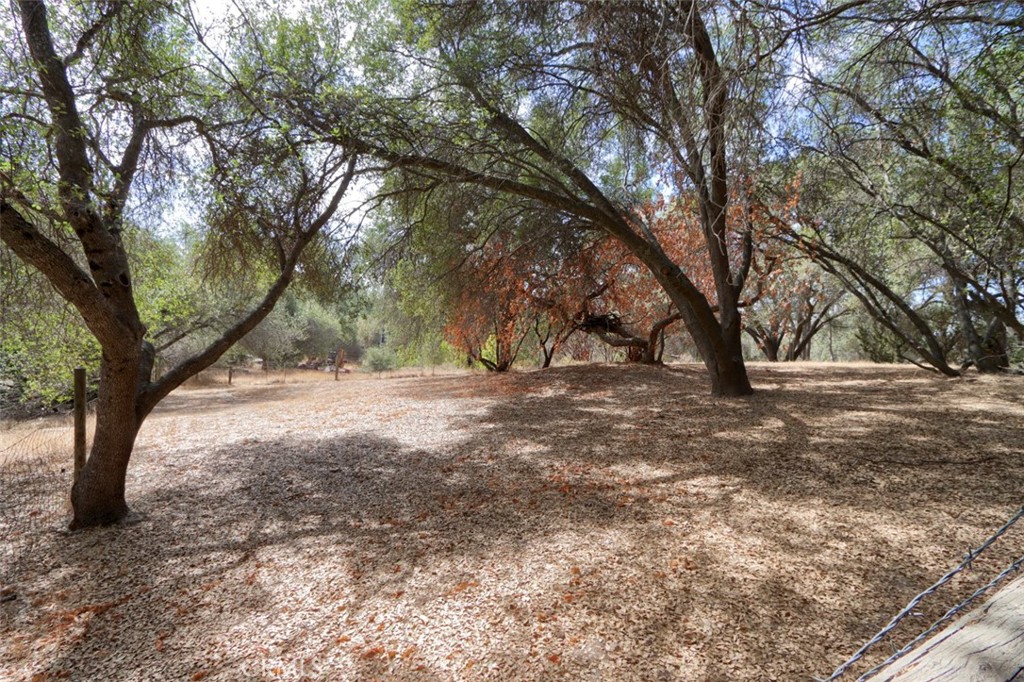33337 Gold Nugget Ct, Coarsegold, CA 93614
