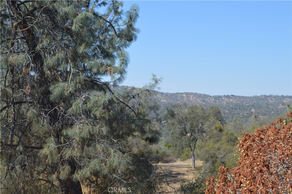 43531 Cedar Grove Way, Coarsegold, CA 93614