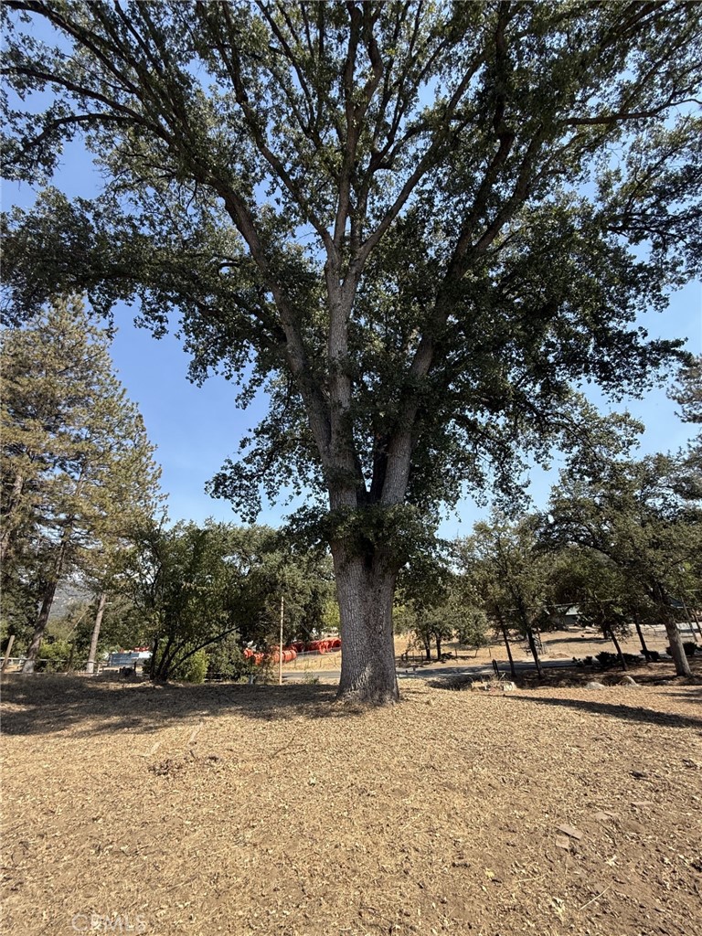 39678 Road 425B #90, Oakhurst, CA 93644
