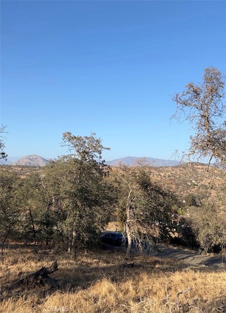 0 Wolverine Ln, Squaw Valley, CA 93675