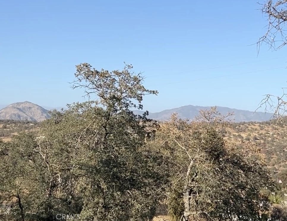 0 Wolverine Ln, Squaw Valley, CA 93675