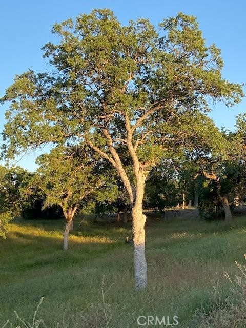0 Cardinal, Squaw Valley, CA 93675