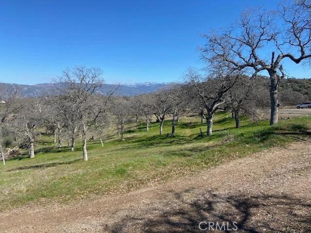 0 Cardinal, Squaw Valley, CA 93675