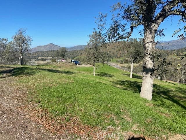 0 Cardinal, Squaw Valley, CA 93675