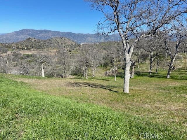0 Cardinal, Squaw Valley, CA 93675