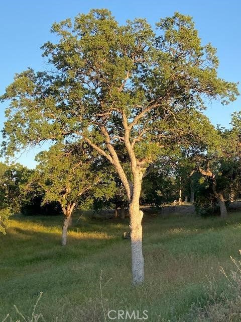 0 Cardinal, Squaw Valley, CA 93675