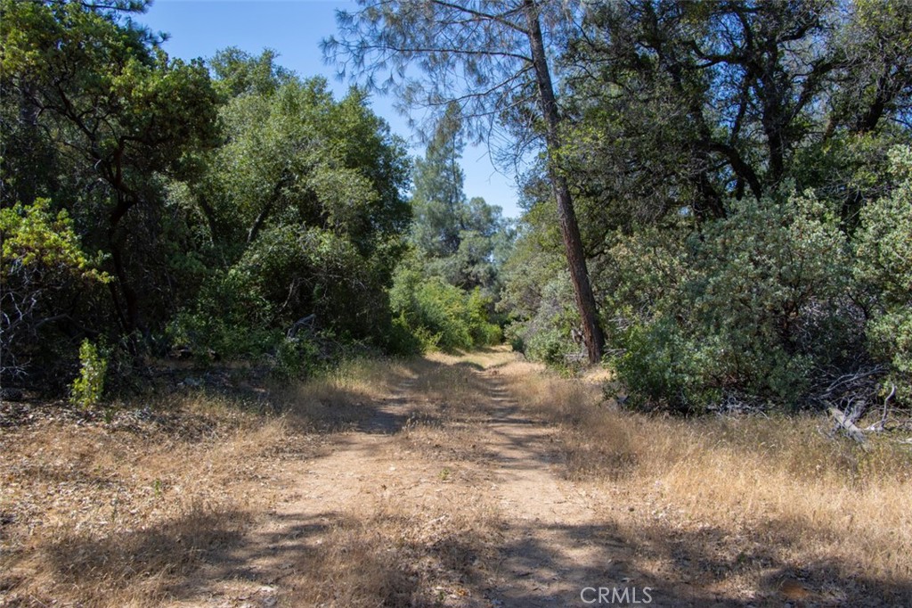 47850 Road 620, Oakhurst, CA 93644