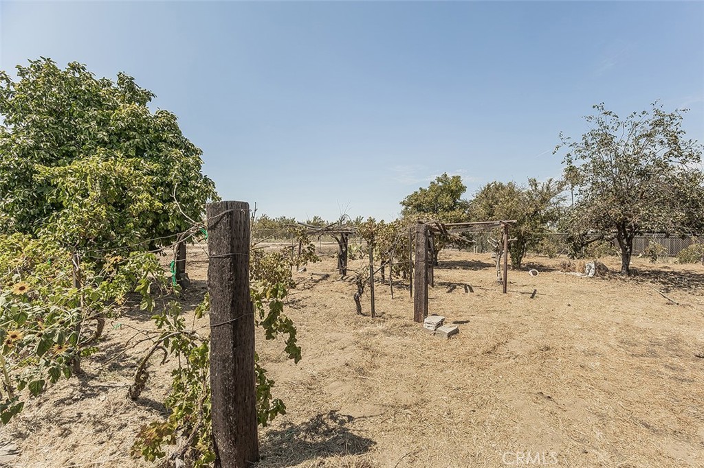 9016 E Dinuba, Selma, CA 93662