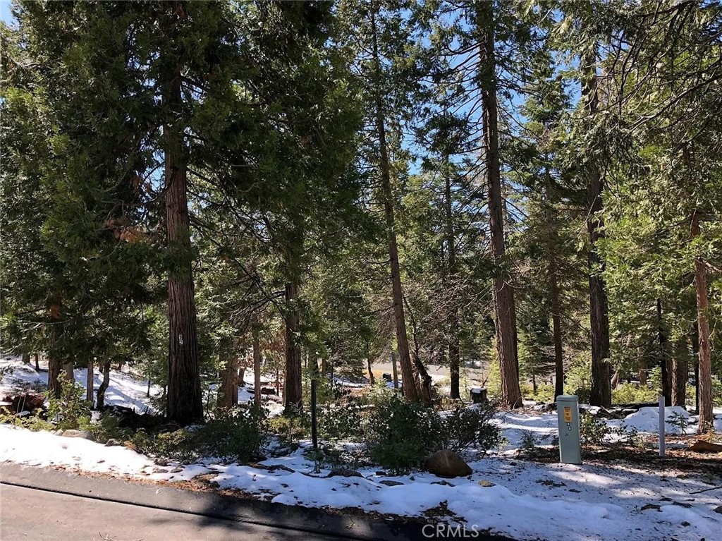 42518 Tourmaline, Shaver Lake, CA 93664