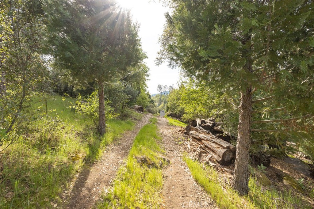36919 Deer Path Cir, Coarsegold, CA 93614
