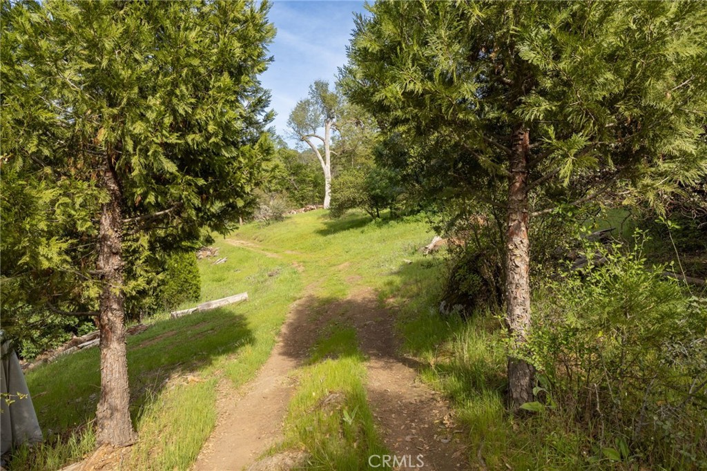 36919 Deer Path Cir, Coarsegold, CA 93614