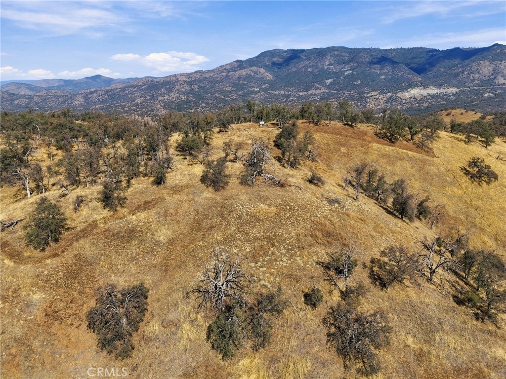 38152 Ruth Hill, Squaw Valley, CA 93675
