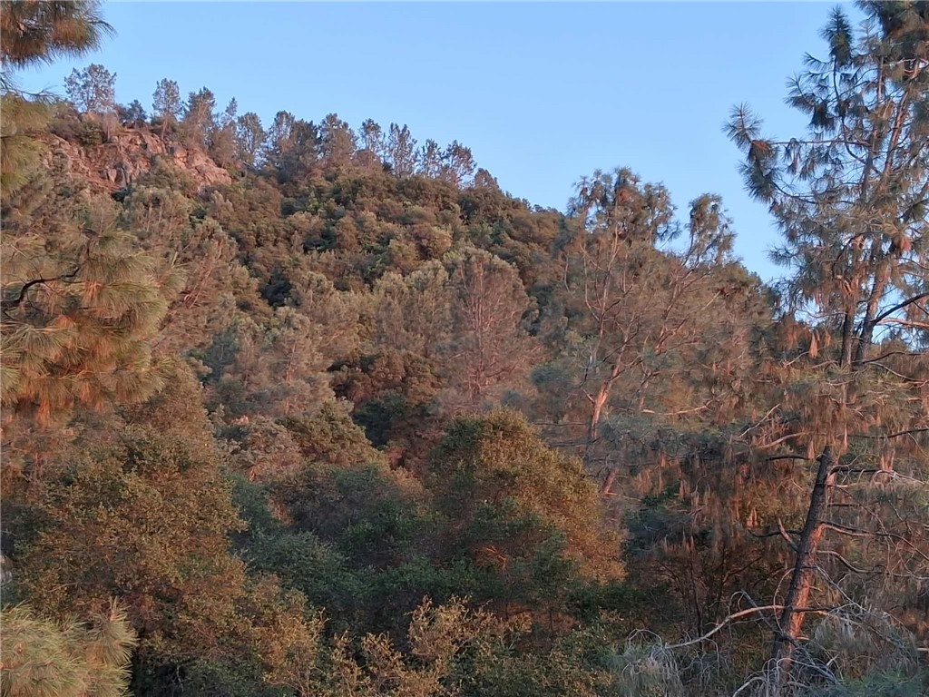 28666 Quail Springs, Tollhouse, CA 93667