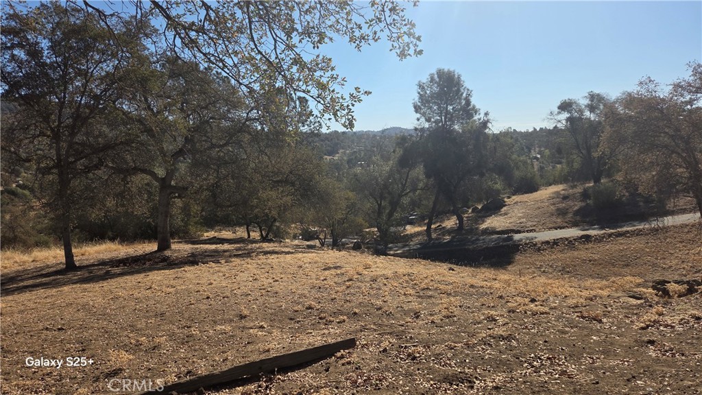 29573 Jim Bowie Ct, Coarsegold, CA 93614