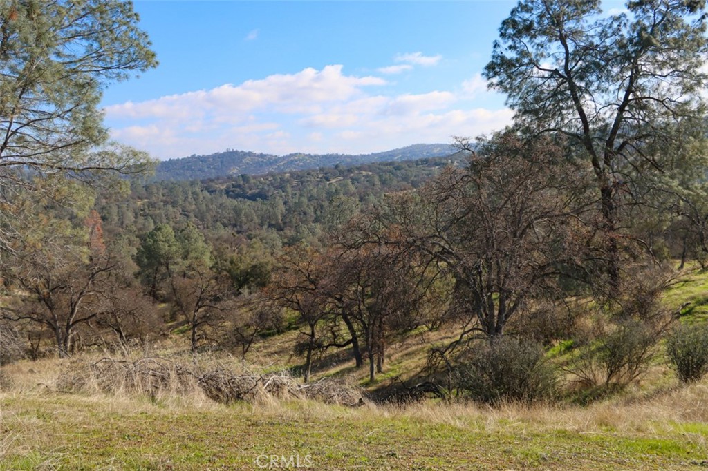 40461 Long Hollow Dr, Coarsegold, CA 93614