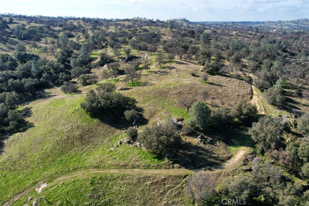 40461 Long Hollow Dr, Coarsegold, CA 93614