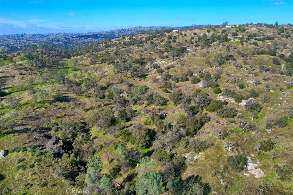 40461 Long Hollow Dr, Coarsegold, CA 93614