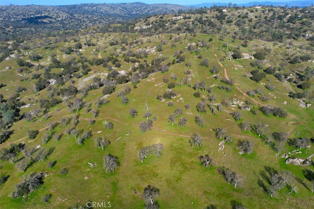 40461 Long Hollow Dr, Coarsegold, CA 93614