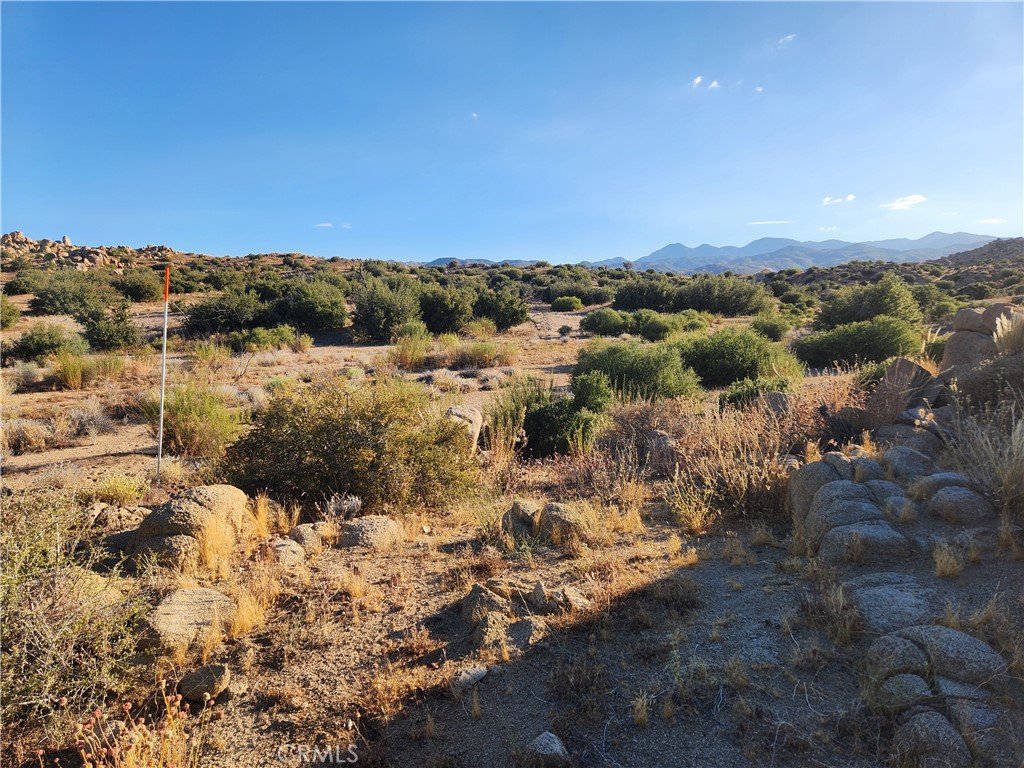 7 AC Oak Dr, Pioneertown, CA 92268