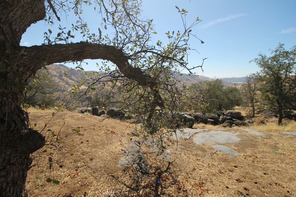 35616 Arrowhead Ln, Squaw Valley, CA 93675