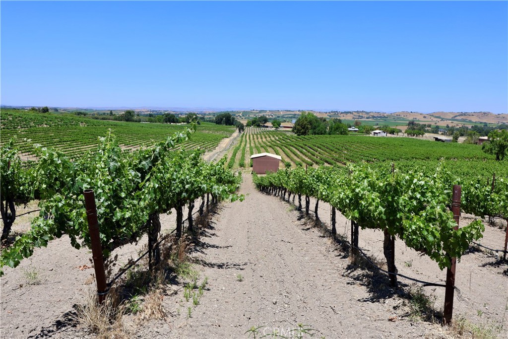 5575 El Pomar Dr, Templeton, CA 93465