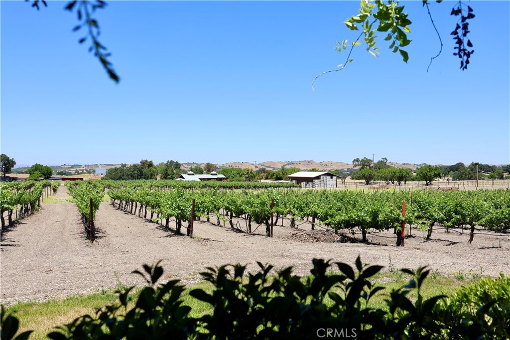 5575 El Pomar Dr, Templeton, CA 93465