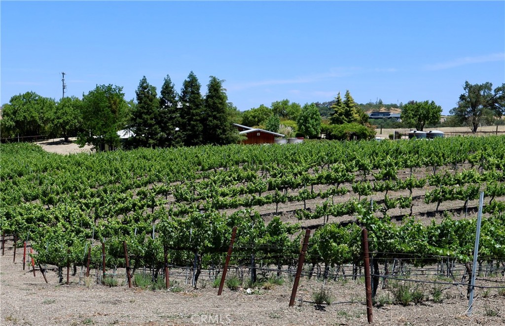 5575 El Pomar Dr, Templeton, CA 93465