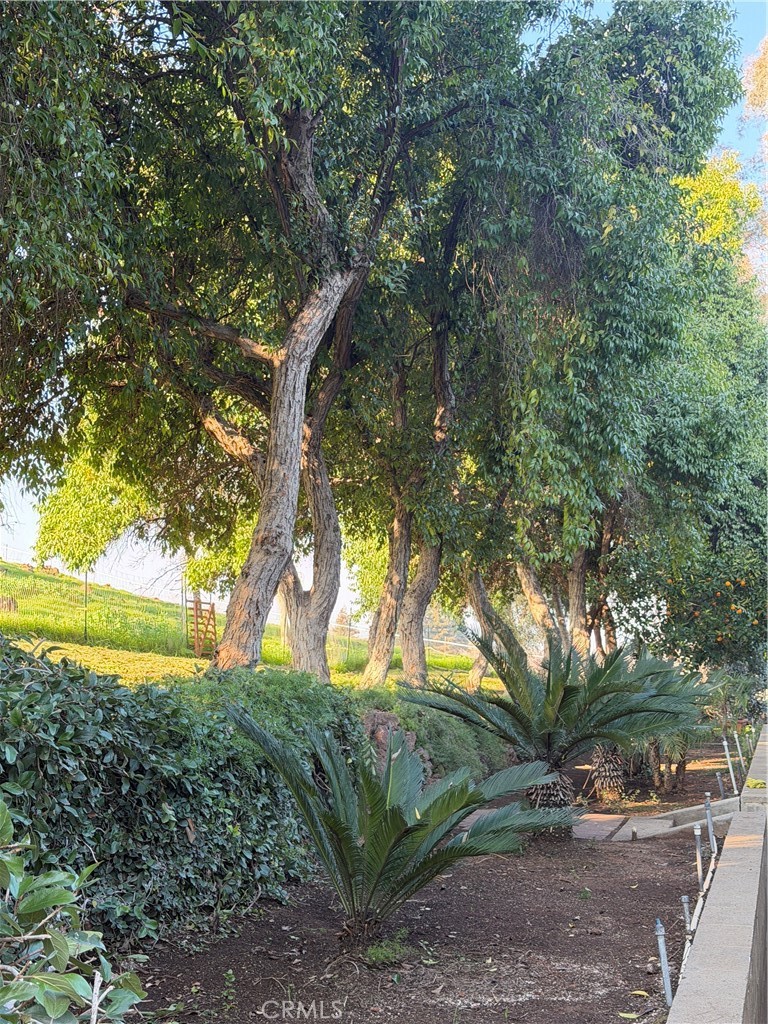 1072 E Worth, Porterville, CA 93257