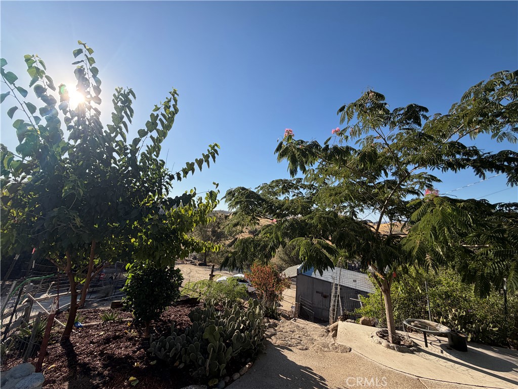 31669 Indian Reservation Rd, Porterville, CA 93257