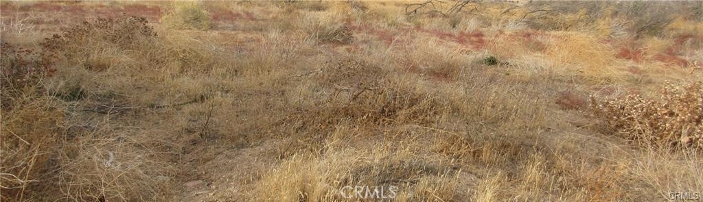 0 043-330-01-07-5 Twisselman Rd, Lost Hills, CA 93249