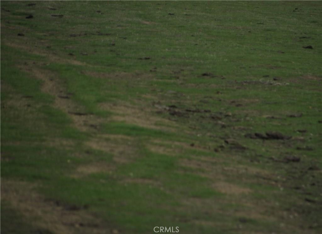 0 043-240-06-00-1, Lost Hills, CA 93249