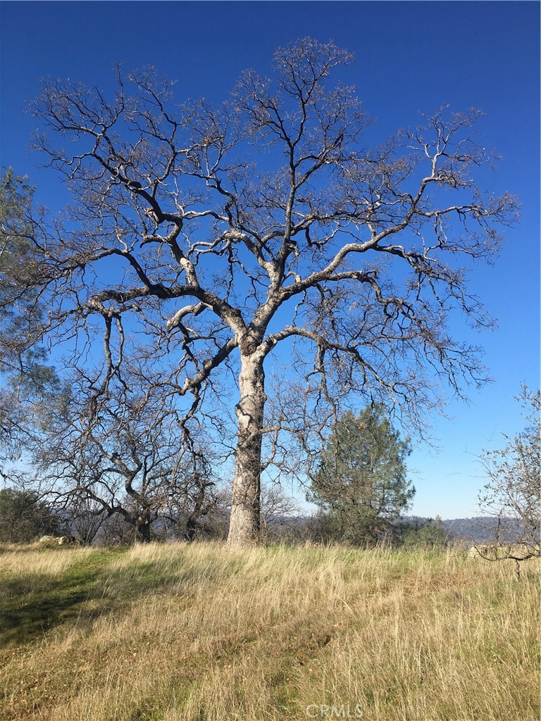 3302 Windy Hollow Rd, Mariposa, CA 95338