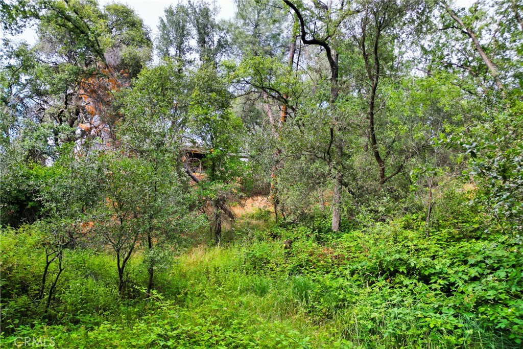 18025 Dolores, Sonora, CA 95370