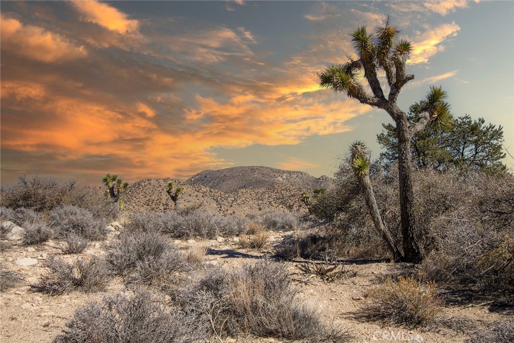 48400 Madison Rd, Pioneertown, CA 92268