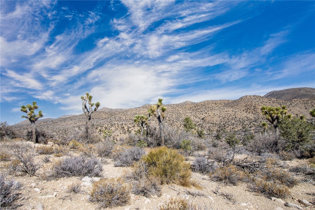 48400 Madison Rd, Pioneertown, CA 92268