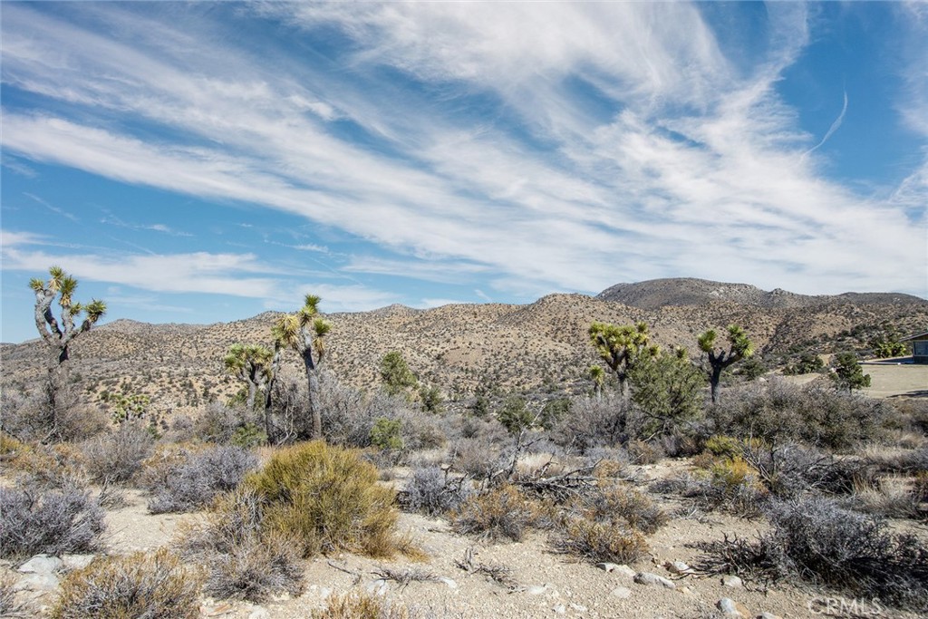 48400 Madison Rd, Pioneertown, CA 92268