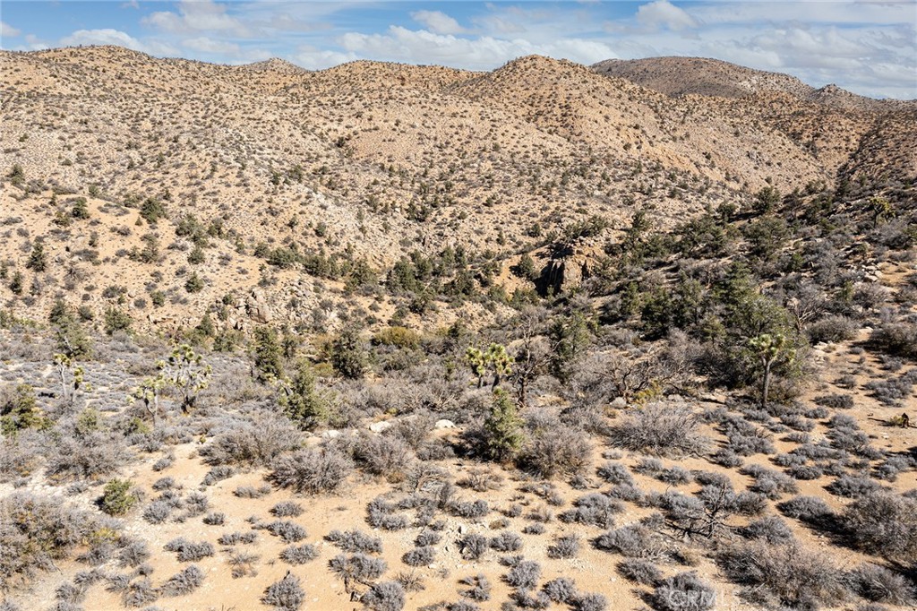 48400 Madison Rd, Pioneertown, CA 92268