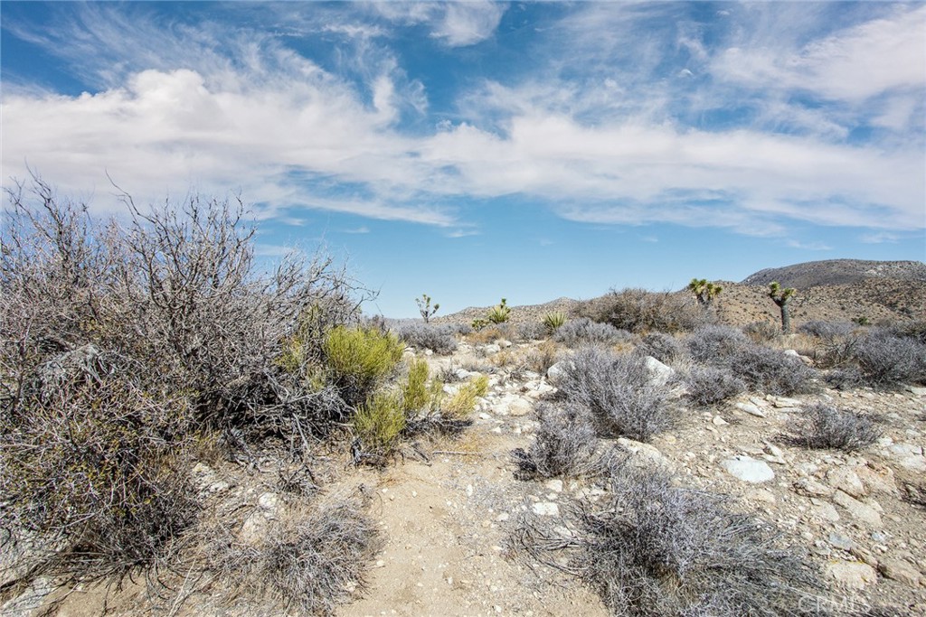 48400 Madison Rd, Pioneertown, CA 92268