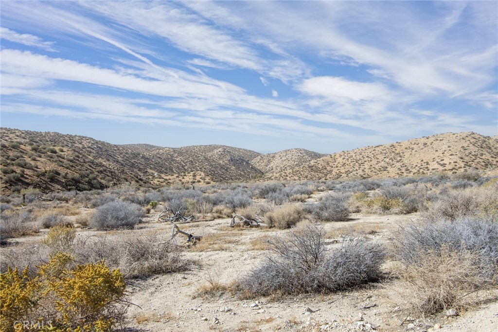 50600 Burns Canyon Rd, Pioneertown, CA 92268