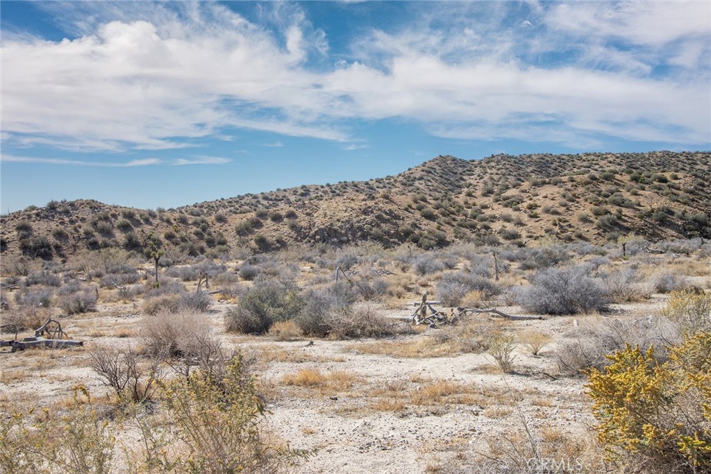 50600 Burns Canyon Rd, Pioneertown, CA 92268