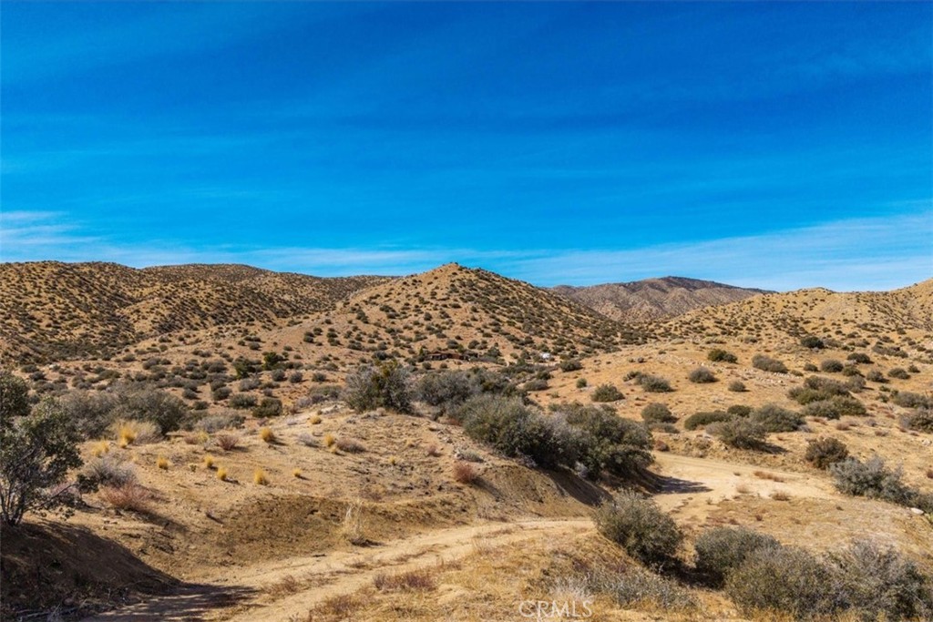 2841 Tumbleweed Trl, Pioneertown, CA 92268