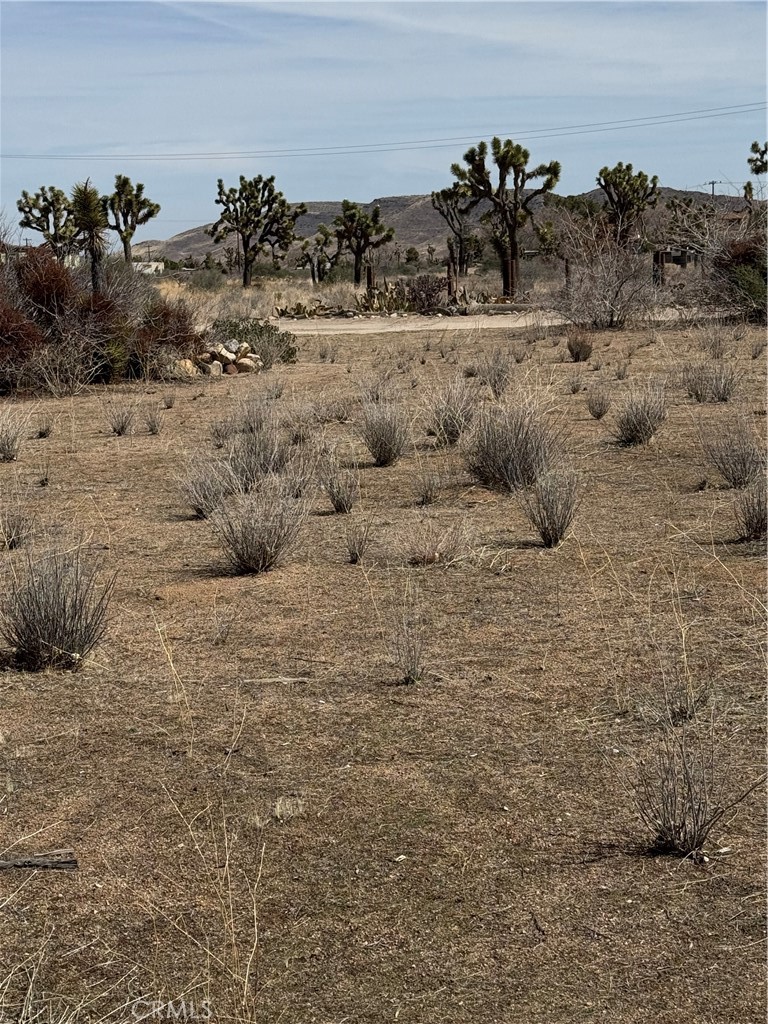 0 Minna Gombell, Pioneertown, CA 92268