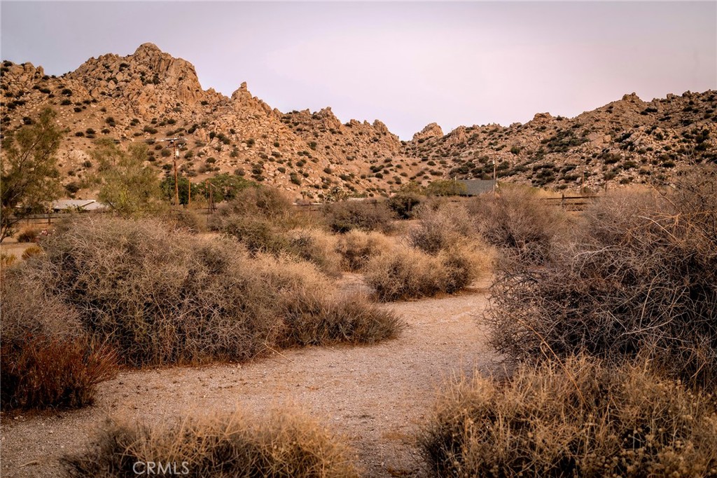 53655 Annie Oakley Rd, Pioneertown, CA 92268