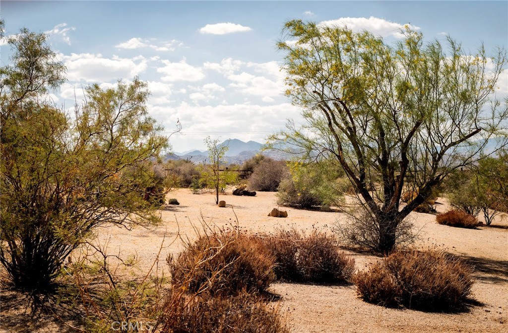 53655 Annie Oakley Rd, Pioneertown, CA 92268