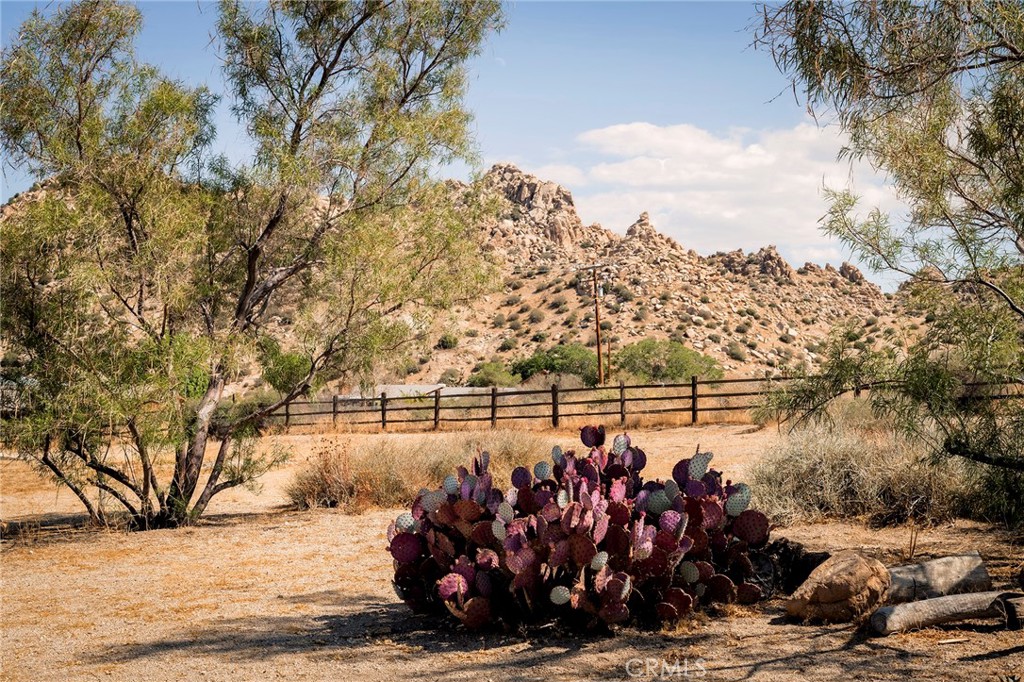 53655 Annie Oakley Rd, Pioneertown, CA 92268