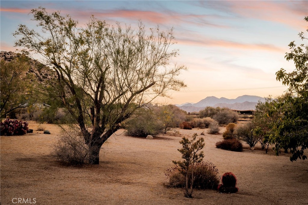 53655 Annie Oakley Rd, Pioneertown, CA 92268