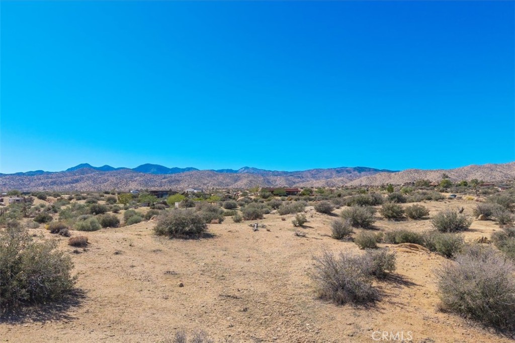 51975 Latigo Ln, Pioneertown, CA 92284