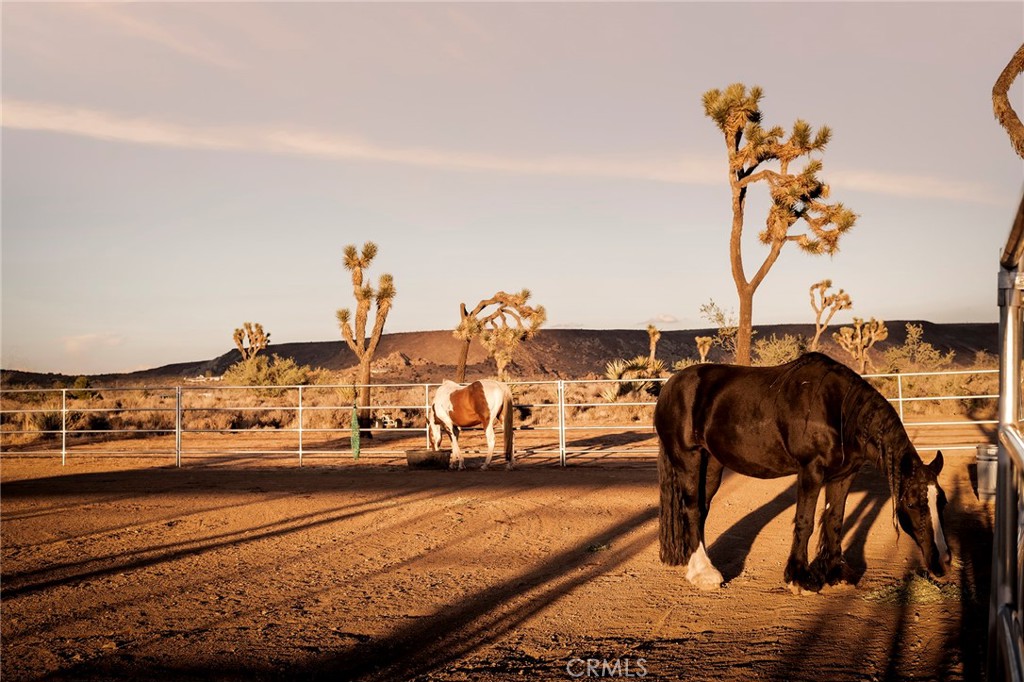 2680 Vine, Pioneertown, CA 92268