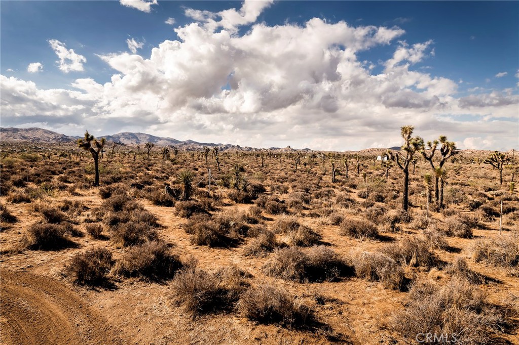 2680 Vine, Pioneertown, CA 92268